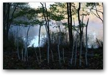   &raquo; Click to zoom ->