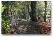   &raquo; Click to zoom ->