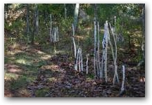   &raquo; Click to zoom ->