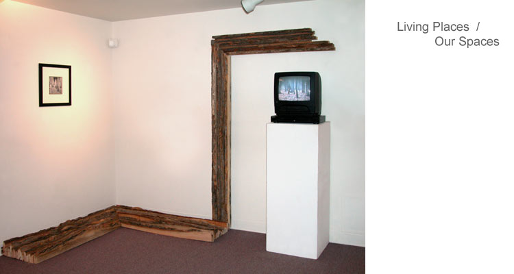 Living Places/Our Spaces - Lori Sikorski